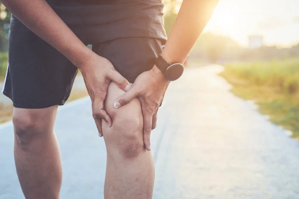 Stay Active This Fall: Joint Care Tips